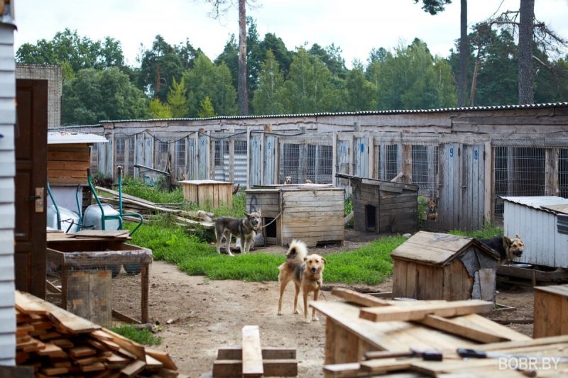 Марина Молчанова