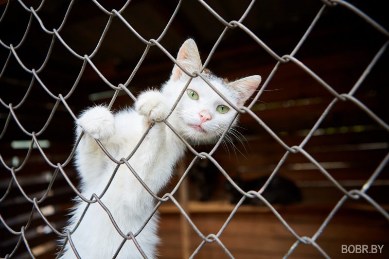 Марина Молчанова