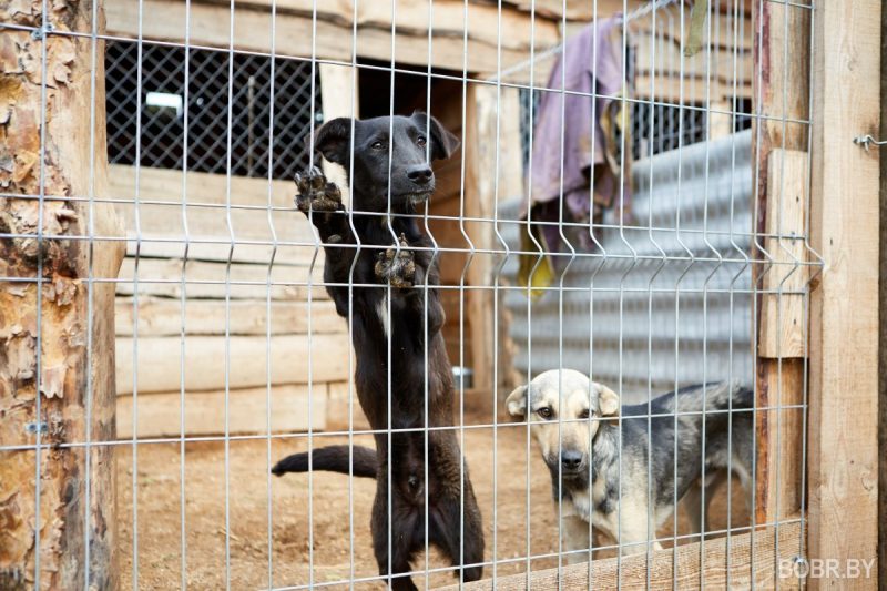 Марина Молчанова