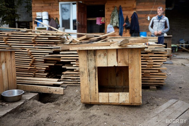 Марина Молчанова