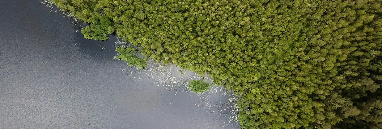Обложка_политизация природы