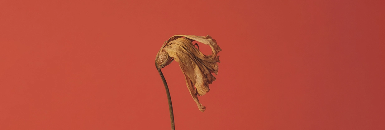 Обложка_смертная казнь