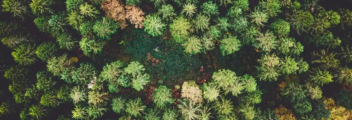 Обложка_права природы