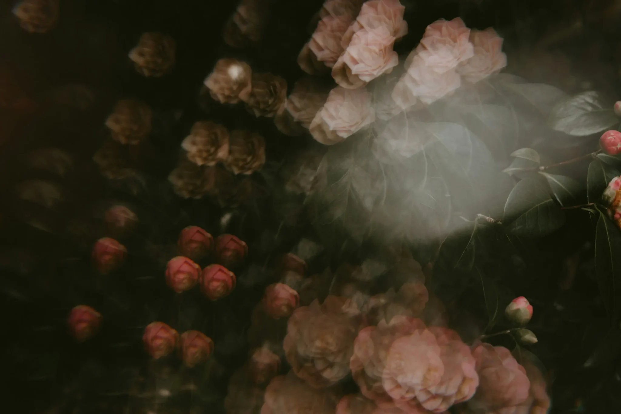 Аромантичность