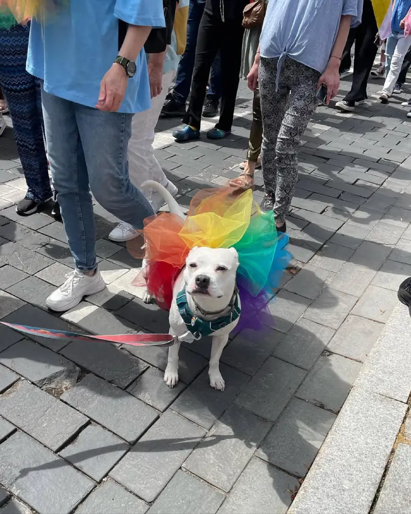 Джейн, квир-небинарая персона