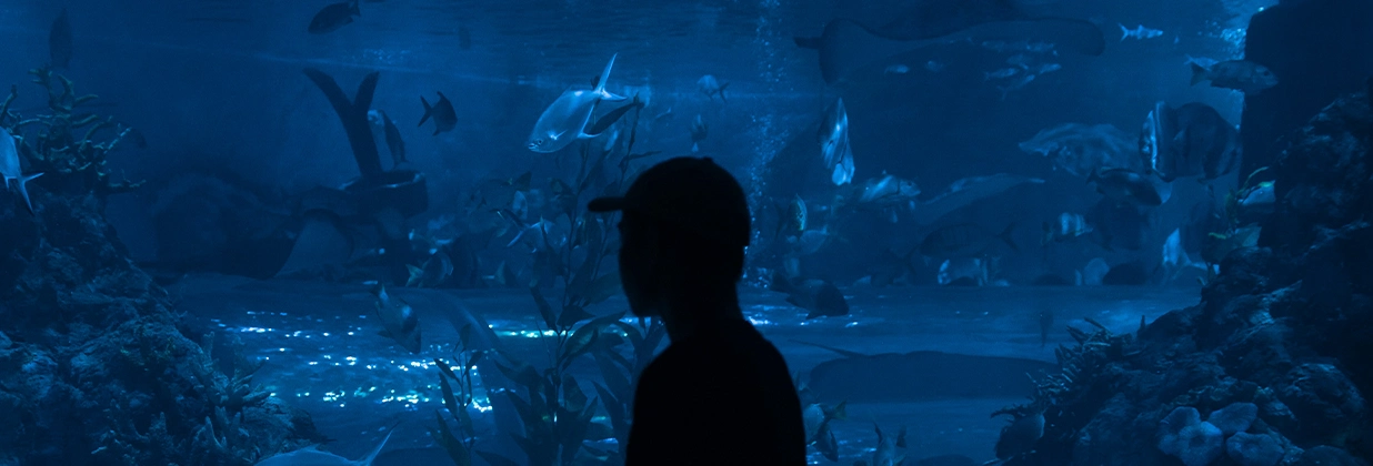 жыццё з ВІЧ